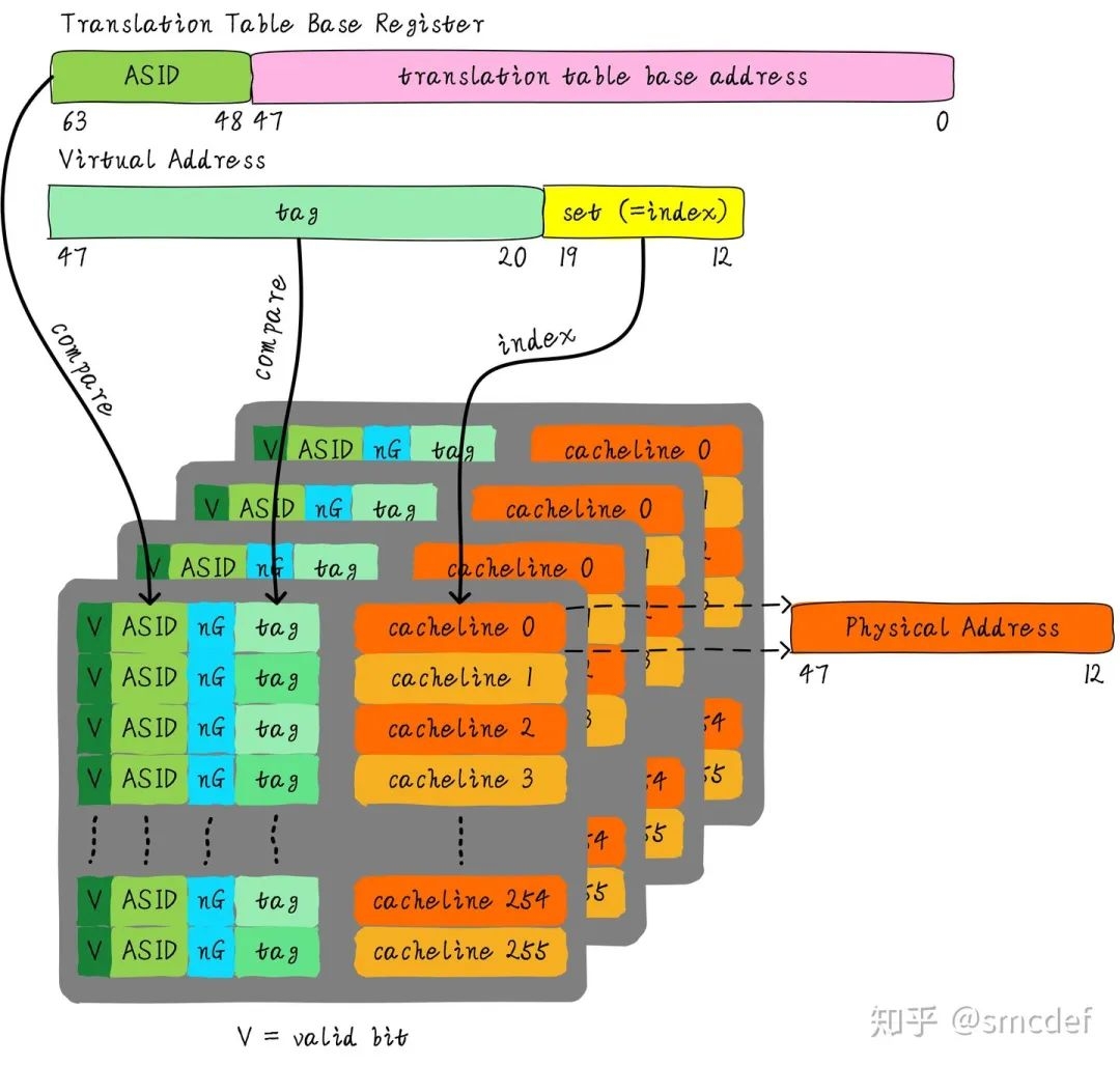 TLB3.webp