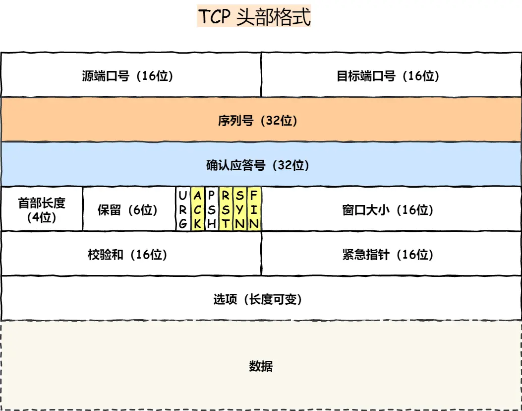 tcp头部.webp